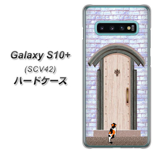 au ギャラクシー S10+ SCV42 高画質仕上げ 背面印刷 ハードケース【YA952 石ドア02 素材クリア】