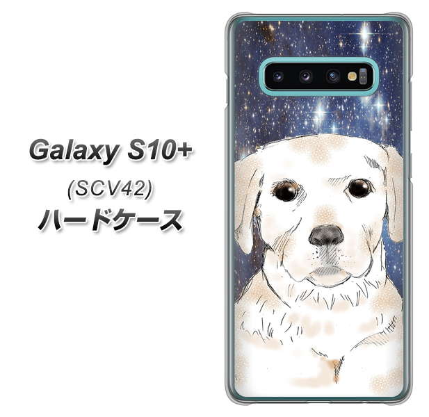 au ギャラクシー S10+ SCV42 高画質仕上げ 背面印刷 ハードケース【YD820 ラブラドールレトリバー01】