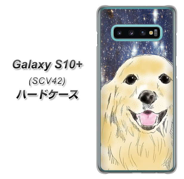 au ギャラクシー S10+ SCV42 高画質仕上げ 背面印刷 ハードケース【YD828 ゴールデンレトリバー04】