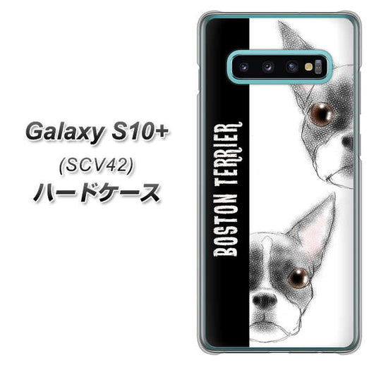 au ギャラクシー S10+ SCV42 高画質仕上げ 背面印刷 ハードケース【YD850 ボストンテリア01】