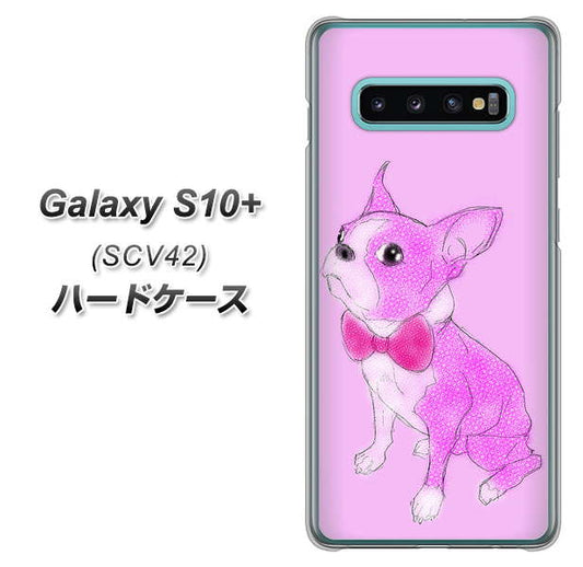 au ギャラクシー S10+ SCV42 高画質仕上げ 背面印刷 ハードケース【YD852 ボストンテリア03】