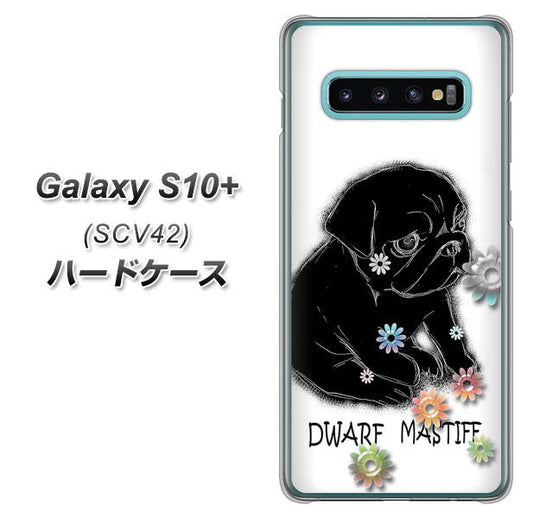 au ギャラクシー S10+ SCV42 高画質仕上げ 背面印刷 ハードケース【YD859 パグ05】