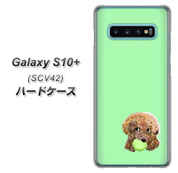 au ギャラクシー S10+ SCV42 高画質仕上げ 背面印刷 ハードケース【YJ055 トイプードル＆ボール（グリーン）】