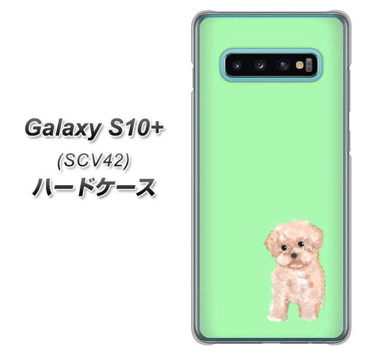 au ギャラクシー S10+ SCV42 高画質仕上げ 背面印刷 ハードケース【YJ063 トイプードルアプリコット（グリーン）】