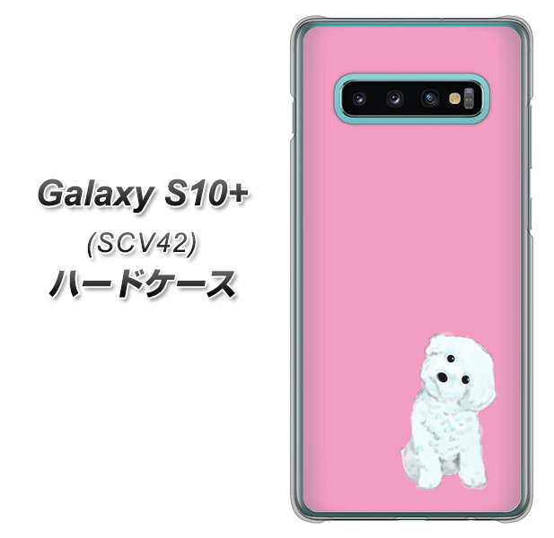 au ギャラクシー S10+ SCV42 高画質仕上げ 背面印刷 ハードケース【YJ069 トイプードルホワイト（ピンク）】