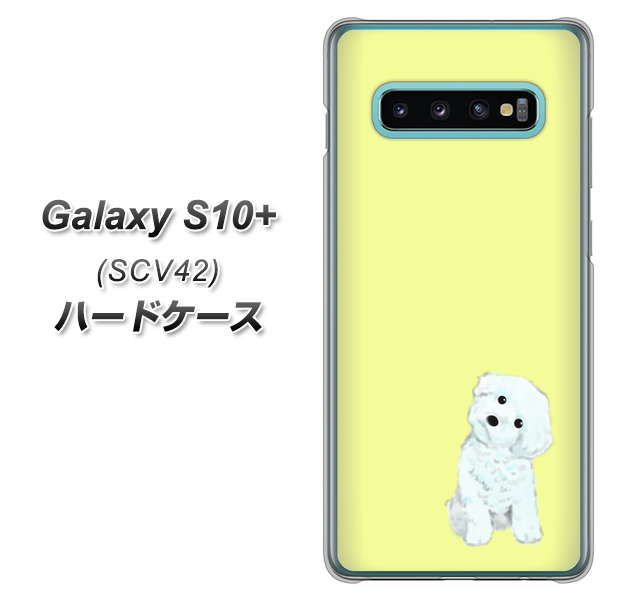 au ギャラクシー S10+ SCV42 高画質仕上げ 背面印刷 ハードケース【YJ072 トイプードルホワイト（イエロー）】