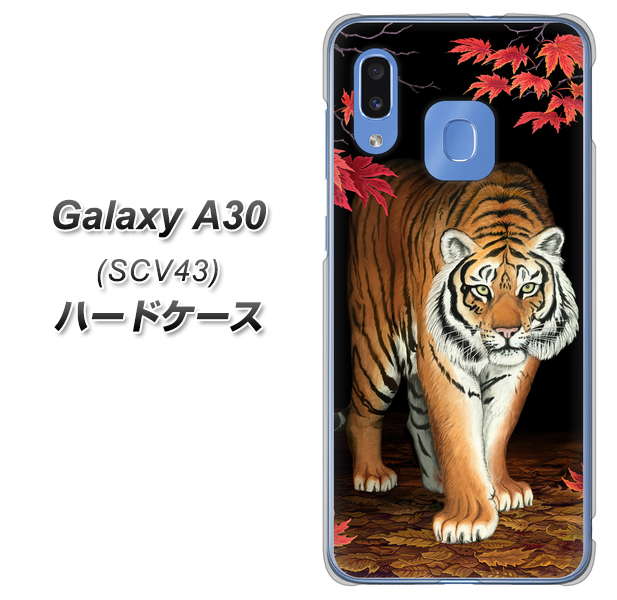 au ギャラクシー A30 SCV43 高画質仕上げ 背面印刷 ハードケース【177 もみじと虎】