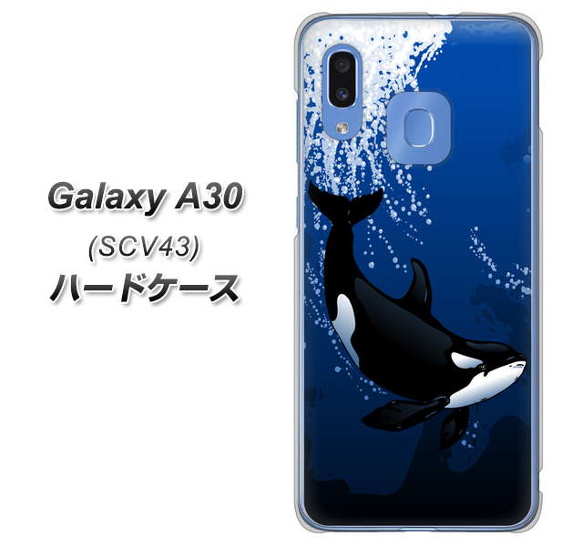 au ギャラクシー A30 SCV43 高画質仕上げ 背面印刷 ハードケース【423 シャチ】