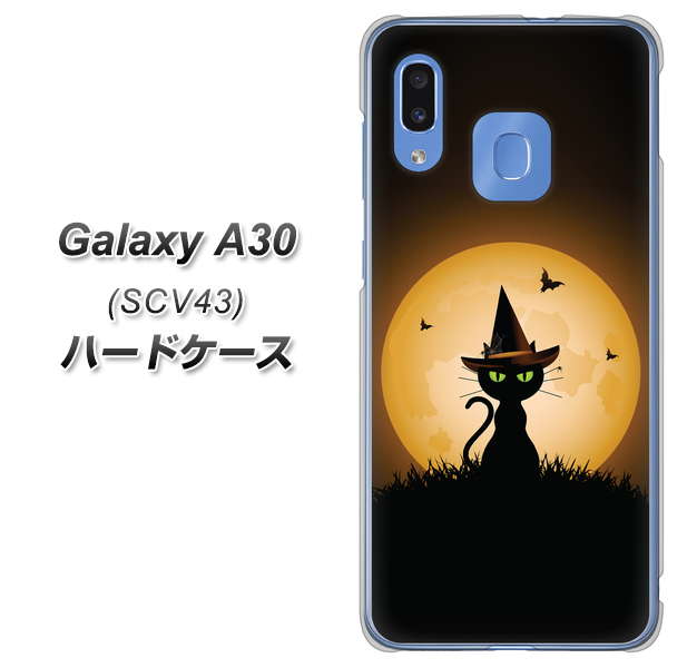 au ギャラクシー A30 SCV43 高画質仕上げ 背面印刷 ハードケース【440 猫の魔法使い】