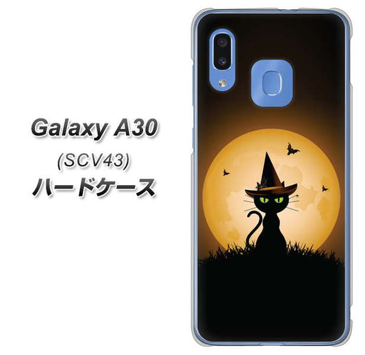 au ギャラクシー A30 SCV43 高画質仕上げ 背面印刷 ハードケース【440 猫の魔法使い】