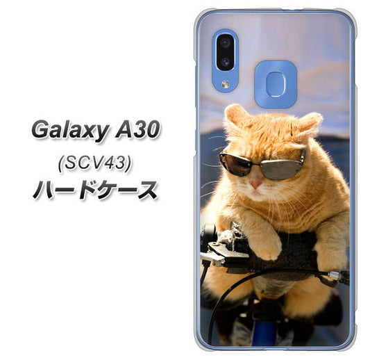 au ギャラクシー A30 SCV43 高画質仕上げ 背面印刷 ハードケース【595 にゃんとサイクル】