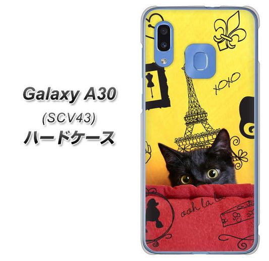 au ギャラクシー A30 SCV43 高画質仕上げ 背面印刷 ハードケース【686 パリの子猫】