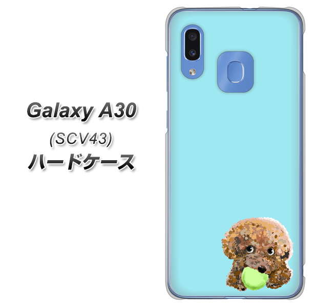 au ギャラクシー A30 SCV43 高画質仕上げ 背面印刷 ハードケース【YJ054 トイプードル＆ボール（ブルー）】