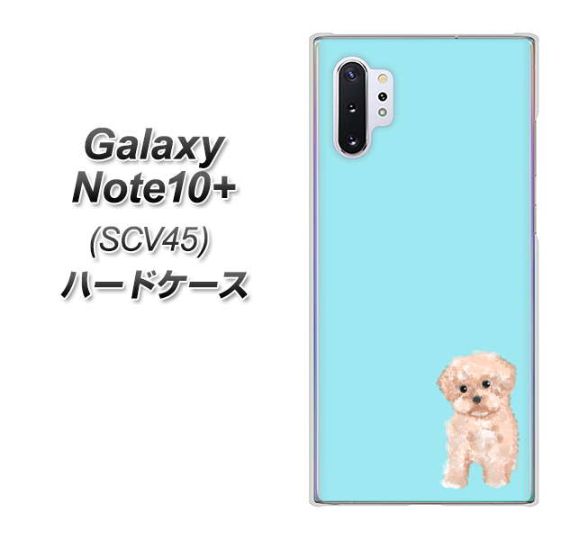 au ギャラクシー ノート10+ SCV45 高画質仕上げ 背面印刷 ハードケース【YJ062 トイプードルアプリコット（ブルー）】