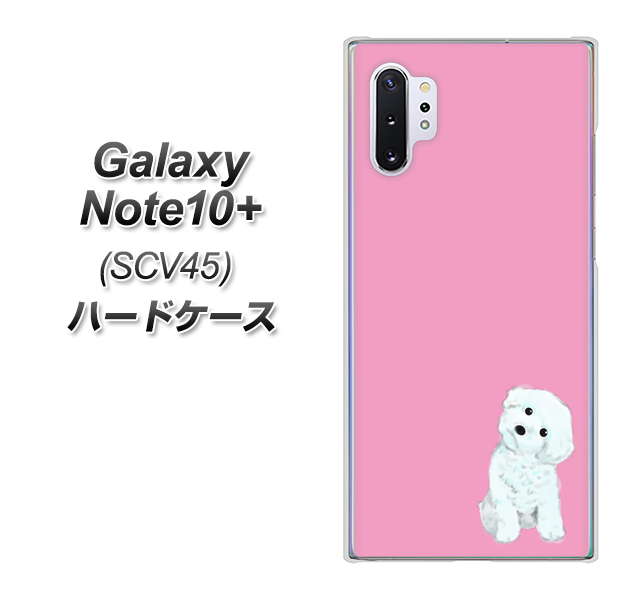 au ギャラクシー ノート10+ SCV45 高画質仕上げ 背面印刷 ハードケース【YJ069 トイプードルホワイト（ピンク）】