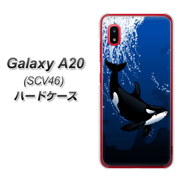 au ギャラクシー A20 SCV46 高画質仕上げ 背面印刷 ハードケース【423 シャチ】
