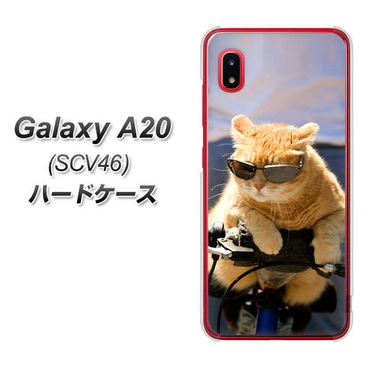 au ギャラクシー A20 SCV46 高画質仕上げ 背面印刷 ハードケース【595 にゃんとサイクル】