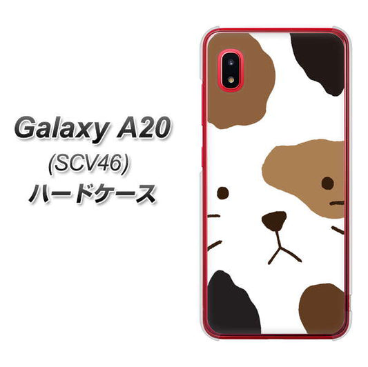 au ギャラクシー A20 SCV46 高画質仕上げ 背面印刷 ハードケース【IA801 みけ】