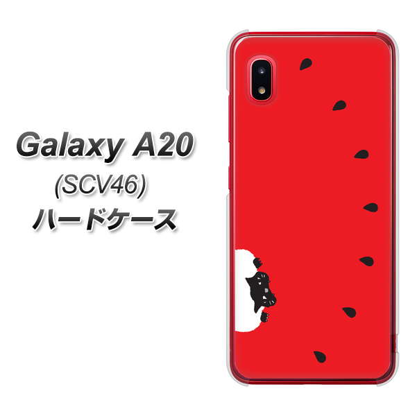 au ギャラクシー A20 SCV46 高画質仕上げ 背面印刷 ハードケース【IA812 すいかをかじるネコ】