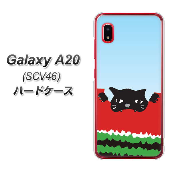 au ギャラクシー A20 SCV46 高画質仕上げ 背面印刷 ハードケース【IA815 すいかをかじるネコ(大)】