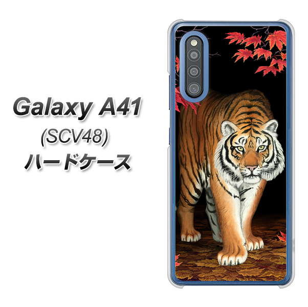 au ギャラクシーA41 SCV48 高画質仕上げ 背面印刷 ハードケース【177 もみじと虎】