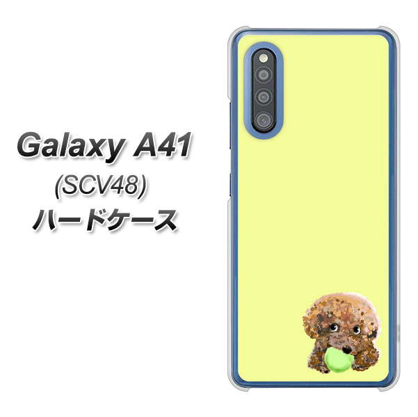 au ギャラクシーA41 SCV48 高画質仕上げ 背面印刷 ハードケース【YJ056 トイプードル＆ボール（イエロー）】