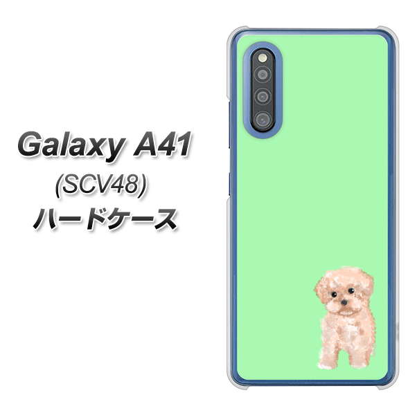 au ギャラクシーA41 SCV48 高画質仕上げ 背面印刷 ハードケース【YJ063 トイプードルアプリコット（グリーン）】