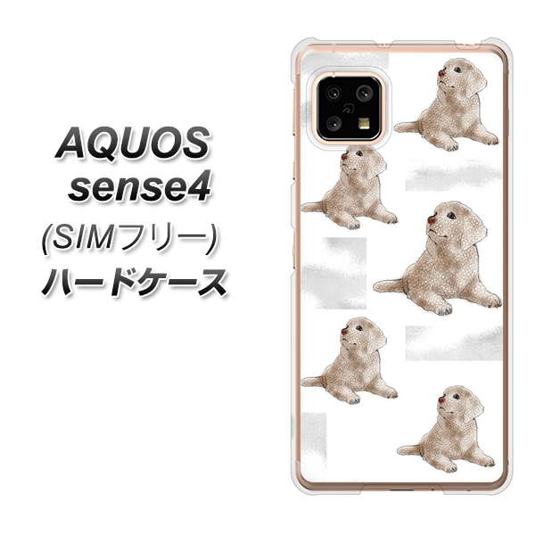 SIMフリー アクオスセンス4 高画質仕上げ 背面印刷 ハードケース【YD823 ラブラドールレトリバー04】