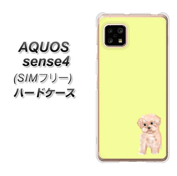 SIMフリー アクオスセンス4 高画質仕上げ 背面印刷 ハードケース【YJ064 トイプードルアプリコット（イエロー）】