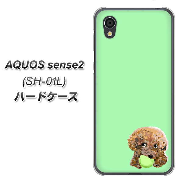 docomo アクオスセンス2 SH-01L 高画質仕上げ 背面印刷 ハードケース【YJ055 トイプードル＆ボール（グリーン）】