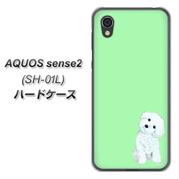docomo アクオスセンス2 SH-01L 高画質仕上げ 背面印刷 ハードケース【YJ071 トイプードルホワイト（グリーン）】