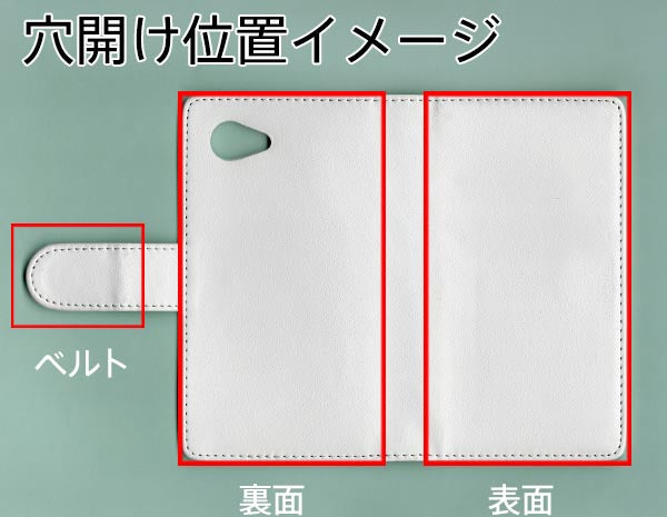 docomo アクオスコンパクト SH-02H 画質仕上げ プリント手帳型ケース(薄型スリム)【299 薔薇の壁】