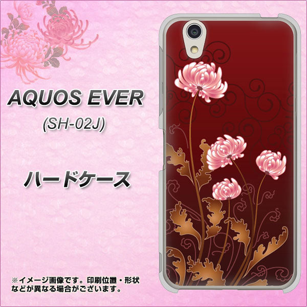 docomo アクオスエバー SH-02J 高画質仕上げ 背面印刷 ハードケース【375 優美な菊】