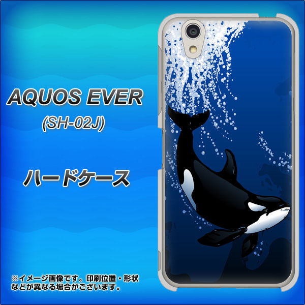 docomo アクオスエバー SH-02J 高画質仕上げ 背面印刷 ハードケース【423 シャチ】
