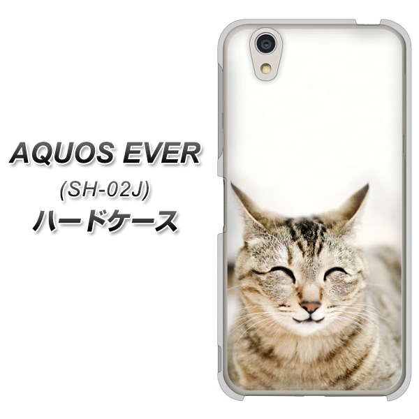 docomo アクオスエバー SH-02J 高画質仕上げ 背面印刷 ハードケース【VA801 笑福ねこ】