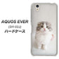 docomo アクオスエバー SH-02J 高画質仕上げ 背面印刷 ハードケース【VA803 まっていますネコ】