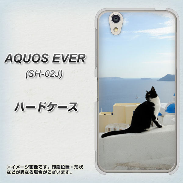 docomo アクオスエバー SH-02J 高画質仕上げ 背面印刷 ハードケース【VA805 ネコと地中海】