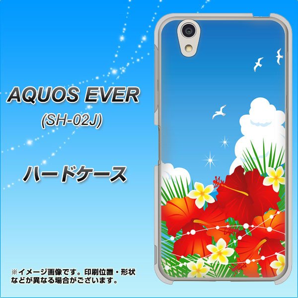 docomo アクオスエバー SH-02J 高画質仕上げ 背面印刷 ハードケース【VA821 ハイビスカスと青空】