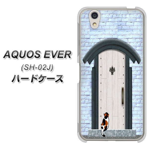 docomo アクオスエバー SH-02J 高画質仕上げ 背面印刷 ハードケース【YA951 石ドア01】