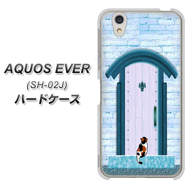 docomo アクオスエバー SH-02J 高画質仕上げ 背面印刷 ハードケース【YA953 石ドア03 素材クリア】