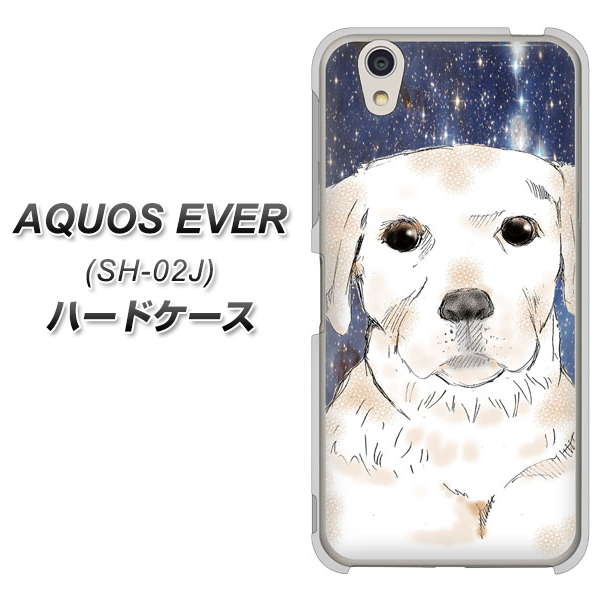 docomo アクオスエバー SH-02J 高画質仕上げ 背面印刷 ハードケース【YD820 ラブラドールレトリバー01】