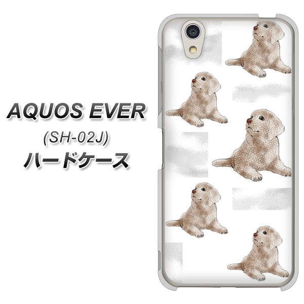 docomo アクオスエバー SH-02J 高画質仕上げ 背面印刷 ハードケース【YD823 ラブラドールレトリバー04】