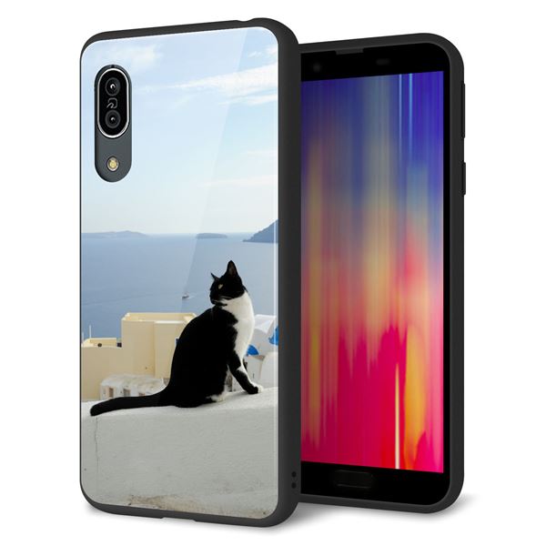 docomo アクオス センス3 SH-02M 強化ガラス＆TPUスマホケース ガラプリ【VA805 ネコと地中海】