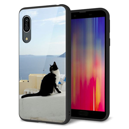 docomo アクオス センス3 SH-02M 強化ガラス＆TPUスマホケース ガラプリ【VA805 ネコと地中海】