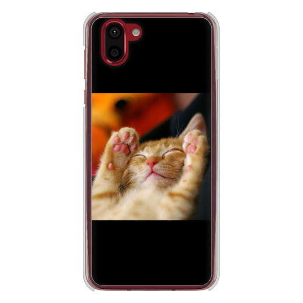 AQUOS R2 SH-03K docomo 高画質仕上げ 背面印刷 ハードケース 【VA804 爆睡するネコ】