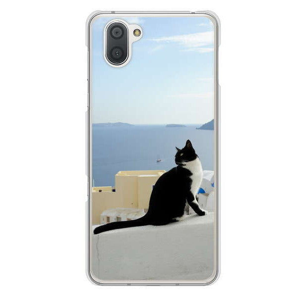 AQUOS R3 SH-04L docomo 高画質仕上げ 背面印刷 ハードケース 【VA805 ネコと地中海】