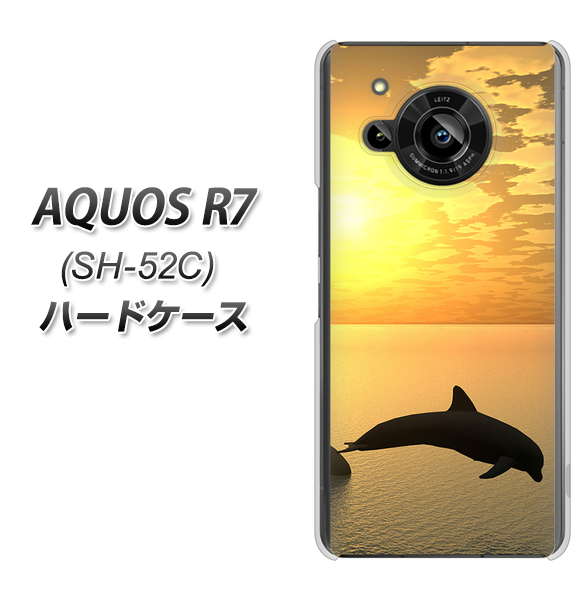 AQUOS R7 SH-52C docomo 高画質仕上げ 背面印刷 ハードケース【VA845 夕暮れのドルフィン】