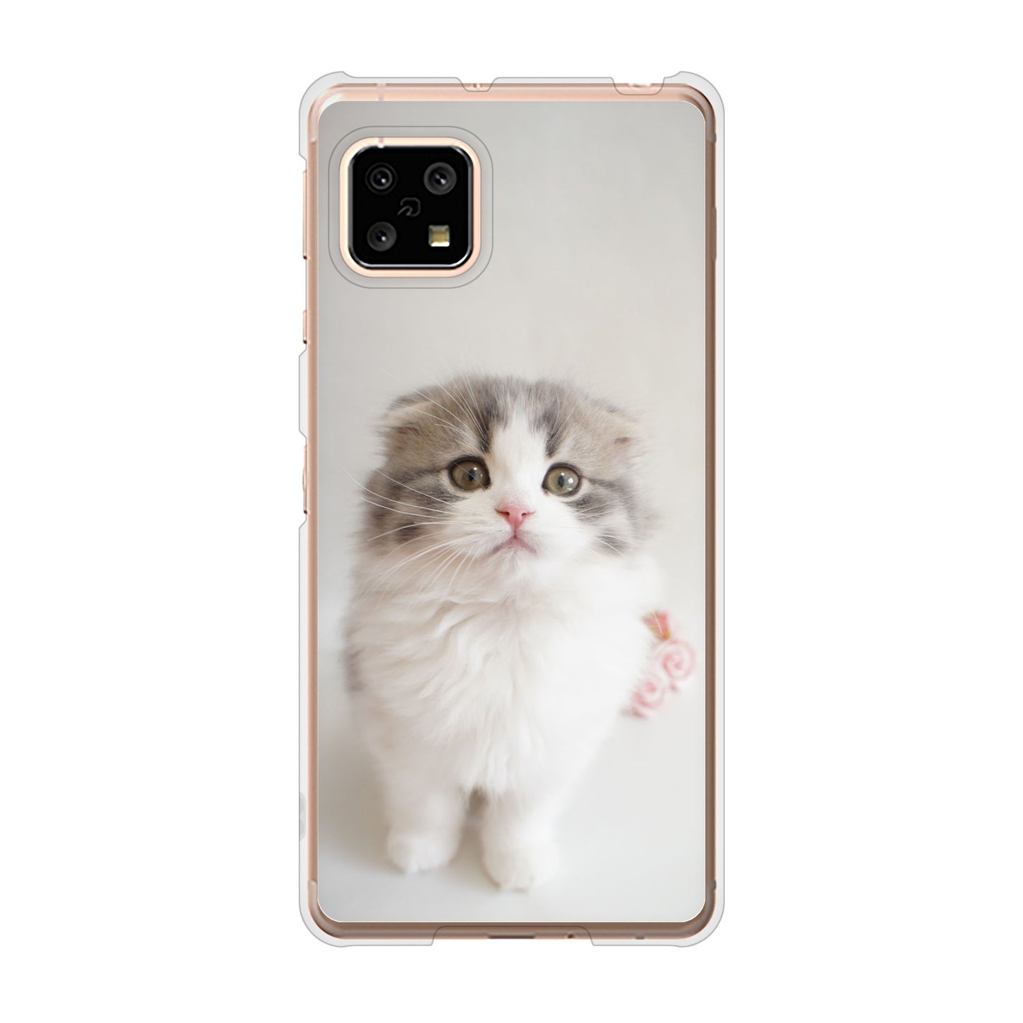 AQUOS sense5G SH-53A docomo 高画質仕上げ 背面印刷 ハードケース 【VA803 まっていますネコ】