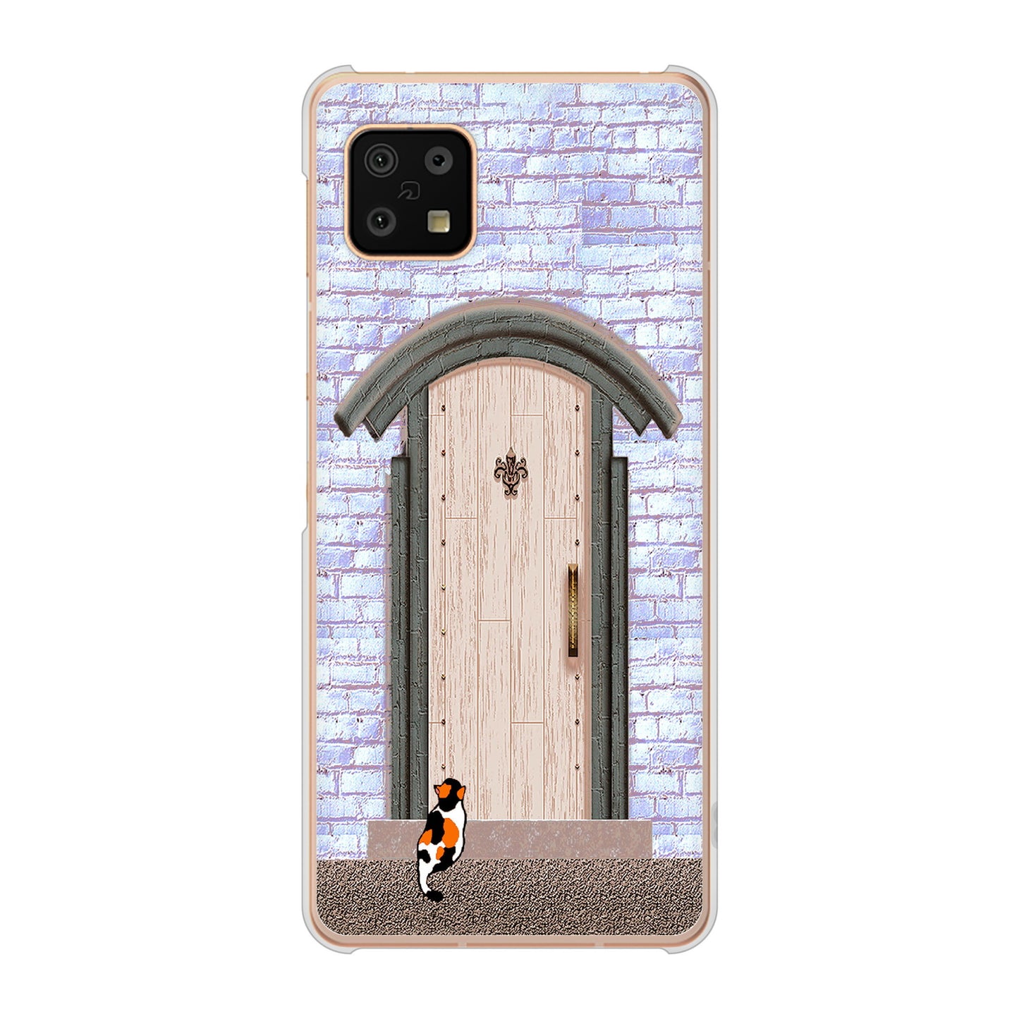 AQUOS sense6 SH-54B docomo 高画質仕上げ 背面印刷 ハードケース 猫とドア