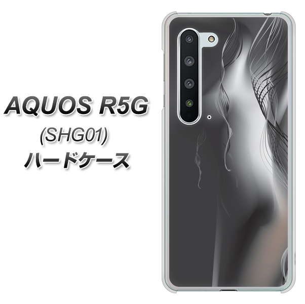 au アクオス R5G SHG01 高画質仕上げ 背面印刷 ハードケース【566 ボディウォール】